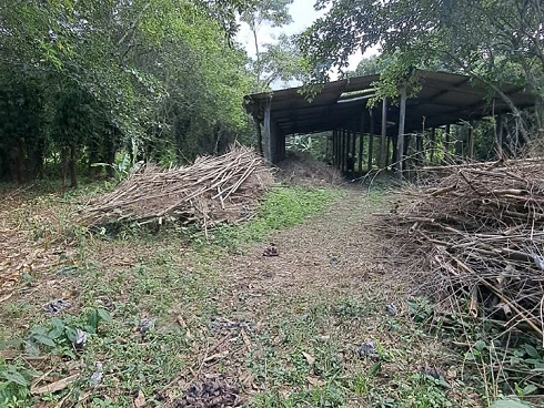 Terreno a Venda - Oportunidade Exclusiva em Cambury - Foto 6