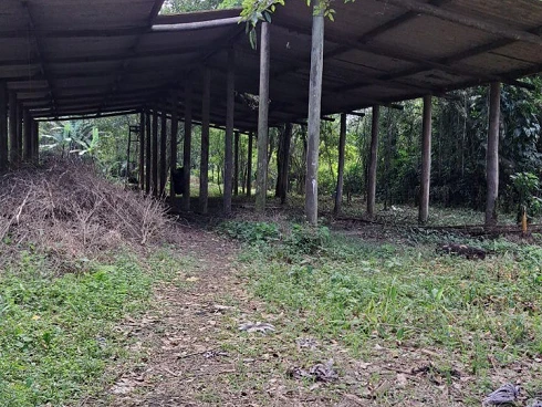 Terreno a Venda - Oportunidade Exclusiva em Cambury - Foto 8