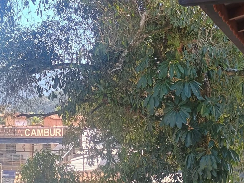 Locação Anual em Cambury - Apartamento Novo com Varanda - Foto 11