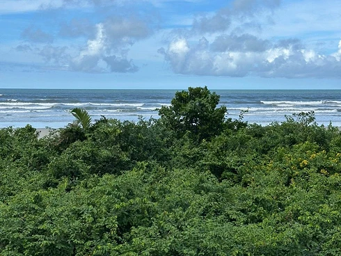 Pé na Areia em Boraceia com Vista Eterna para o Mar! - Foto 6