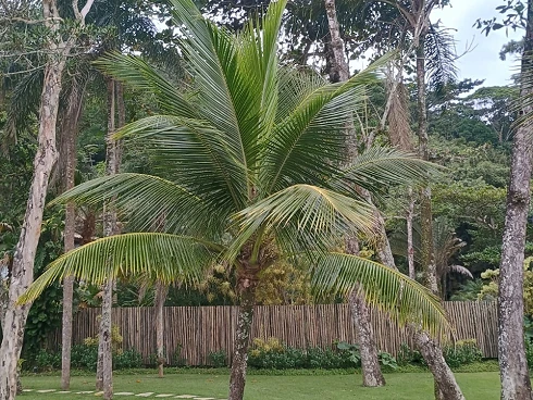 Casa Nova em Condomínio Frente ao Mar em Camburizinho - Foto 34