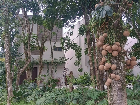 A Venda em Camburizinho - Casa Nova Condomínio Frente ao Mar - Foto 30