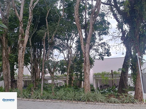 A Venda em Camburizinho - Casa Nova Condomínio Frente ao Mar - Foto 32