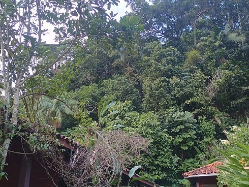 Locação Anual - Casa Térrea em Boiçucanga - Foto 20