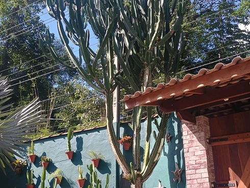 Sobrado em Sertão do Camburi, São Sebastião