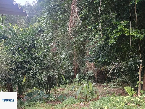Casa Recém-Construída à Venda em Boiçucanga. - Foto 16