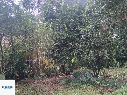 Casa em Boiçucanga, São Sebastião