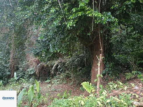 Casa em Boiçucanga, São Sebastião