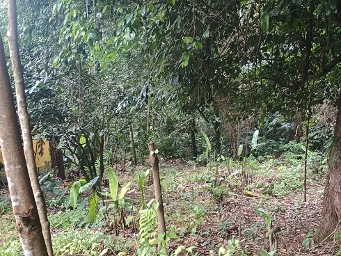 Casa Recém-Construída à Venda em Boiçucanga. - Foto 6