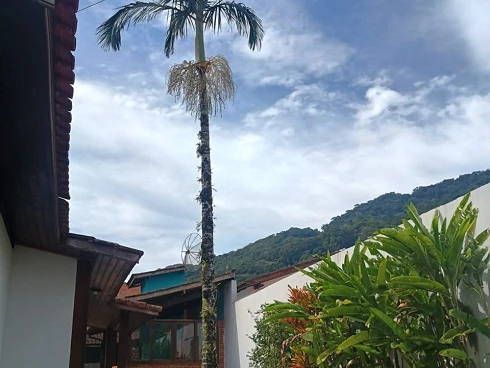 Casa Térrea à Venda em Boiçucanga - Foto 17
