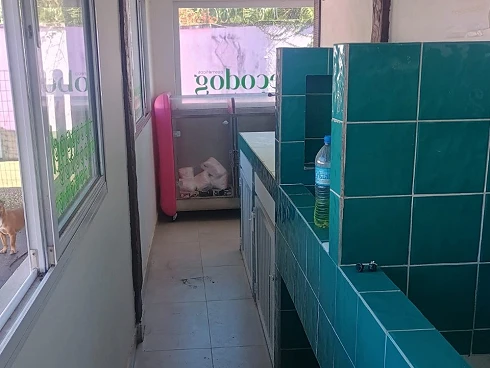Casa à Venda em Cambury com Escritura Definitiva - Foto 30