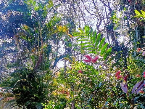 Rancho à Venda em Boiçucanga - Natureza, Conforto e Exclusividade - Foto 11