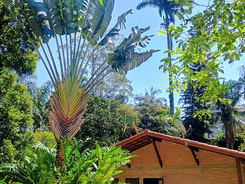 Casa em Boiçucanga, São Sebastião