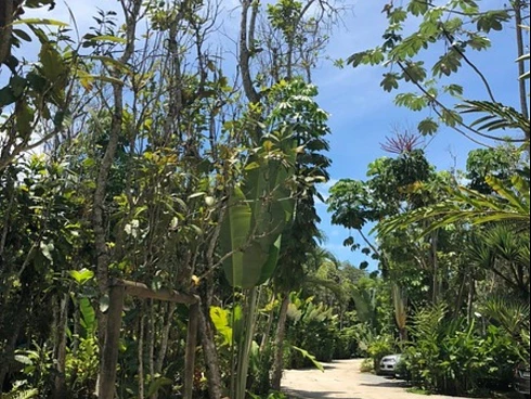 Locação Anual ou Temporada na Praia da Baleia - Foto 30