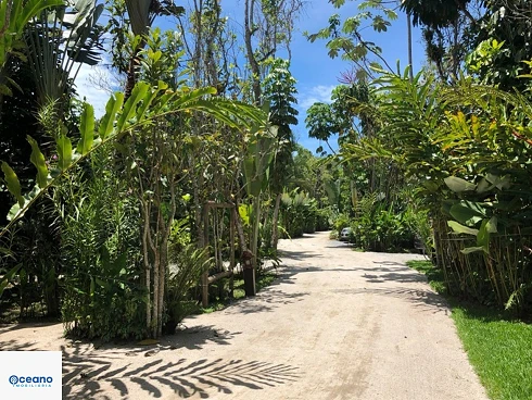 Locação Anual ou Temporada na Praia da Baleia - Foto 31
