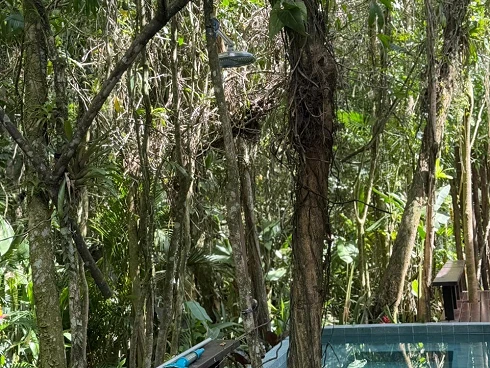 Casa em condomínio em Baleia, São Sebastião