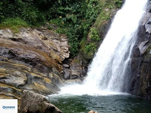 Boiçucanga - Pousada a Venda ou Locação Anual de Chalés - Foto 7