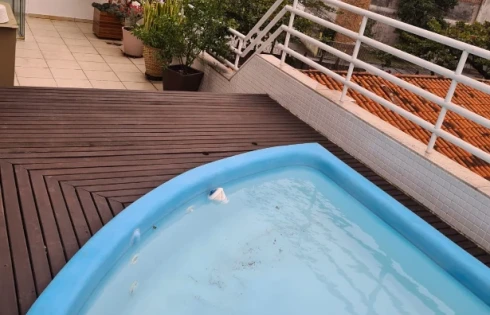 Apartamento em Kobrasol, São José