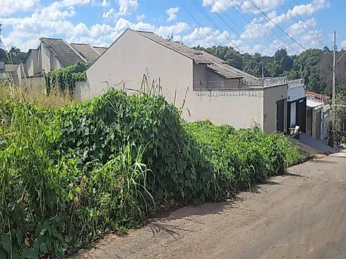 Lote no Parque das Flores - Terreno em Parque das Flores, Goiânia - Foto 1
