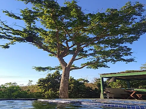 Casa Exclusiva no Corumbá Iv - Foto 12