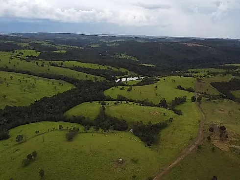 Fazenda de Alto Padrão à Venda em Luziânia (GO) – 1.671 Hectares - Sítio em Centro, Luziânia - Foto 1