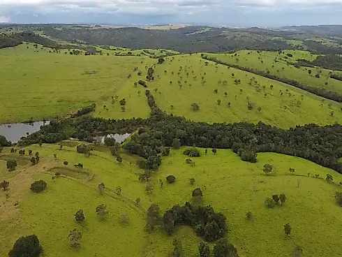 Fazenda de Alto Padrão à Venda em Luziânia (GO) – 1.671 Hectares - Sítio em Centro, Luziânia - Foto 3