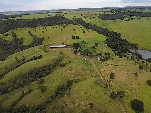 Fazenda de Alto Padrão à Venda em Luziânia (GO) – 1.671 Hectares - Sítio em Centro, Luziânia - Foto 4
