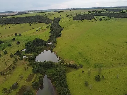 Fazenda de Alto Padrão à Venda em Luziânia (GO) – 1.671 Hectares - Foto 6