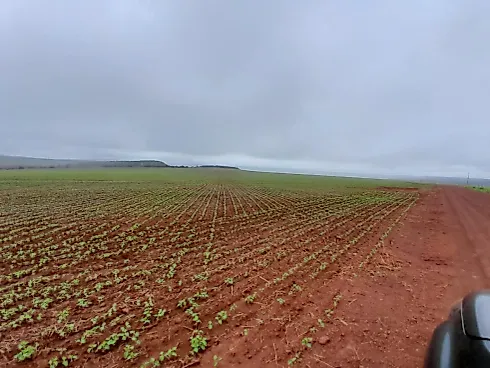 Fazenda Premium – São João da Aliança (GO) - Sítio em Área Rural, São João D'aliança - Foto 2