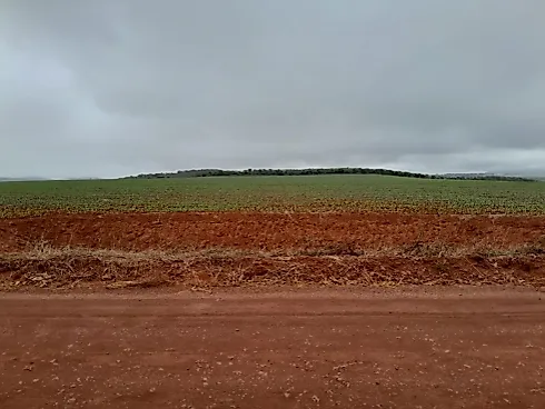 Fazenda Premium – São João da Aliança (GO) - Sítio em Área Rural, São João D'aliança - Foto 5