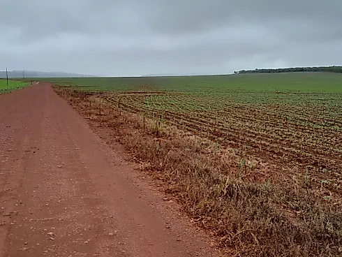 Fazenda Premium – São João da Aliança (GO) - Sítio em Área Rural, São João D'aliança - Foto 3