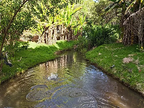 Chácara de Luxo Exclusiva à Venda em Anápolis (GO) - Foto 29