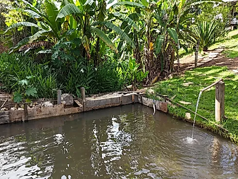 Chácara de Luxo Exclusiva à Venda em Anápolis (GO) - Foto 28