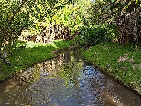 Chácara de Luxo Exclusiva à Venda em Anápolis (GO) - Foto 27