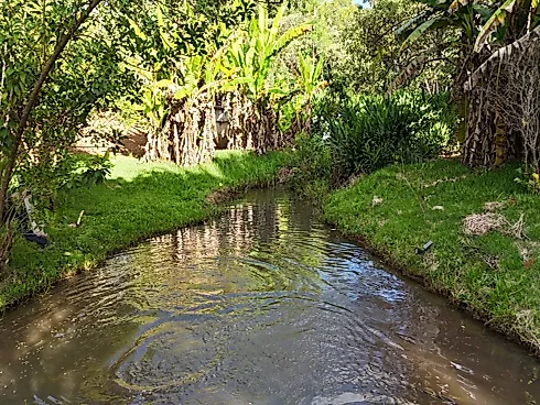 Chácara de Luxo Exclusiva à Venda em Anápolis (GO) - Foto 31