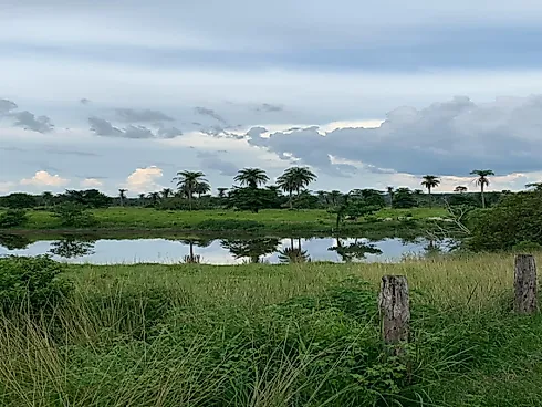 Fazenda Dupla Aptidão às Margens da Br-153 - Sítio em Plano Diretor Norte, Palmas - Foto 2