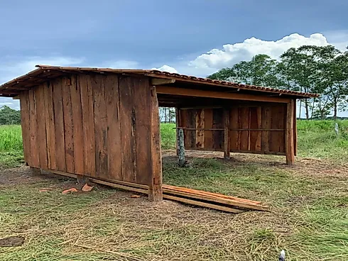 Fazenda Dupla Aptidão às Margens da Br-153 - Sítio em Plano Diretor Norte, Palmas - Foto 3