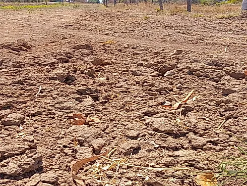 Fazenda Dupla Aptidão às Margens da Br-153 - Sítio em Plano Diretor Norte, Palmas - Foto 4