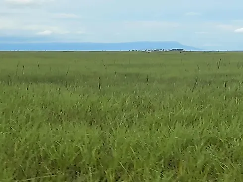 Fazenda de Dupla Aptidão à Venda em Natividade (TO) - Sítio em Área Rural, Natividade - Foto 2