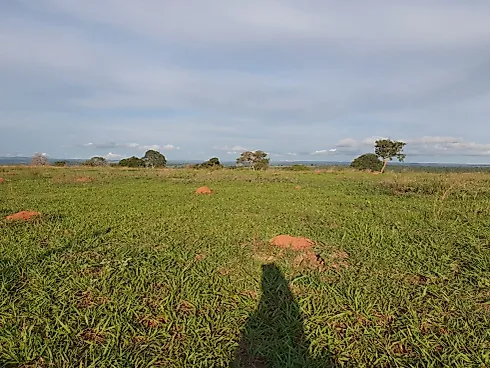 Fazenda de Dupla Aptidão à Venda em Natividade (TO) - Sítio em Área Rural, Natividade - Foto 1