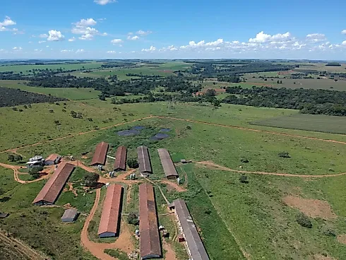 Oportunidade Única de Investimento – Anápolis/GO - Sítio em Área Rural de Anápolis, Anápolis - Foto 3