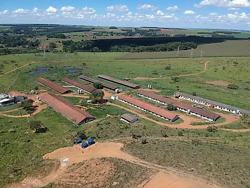 Oportunidade Única de Investimento – Anápolis/GO - Sítio em Área Rural de Anápolis, Anápolis - Foto 1