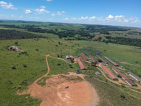 Oportunidade Única de Investimento – Anápolis/GO - Sítio em Área Rural de Anápolis, Anápolis - Foto 4