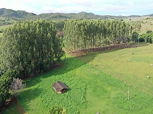 Fazenda de Dupla Aptidão em Padre Bernardo - GO - Sítio em Centro, Padre Bernardo - Foto 2
