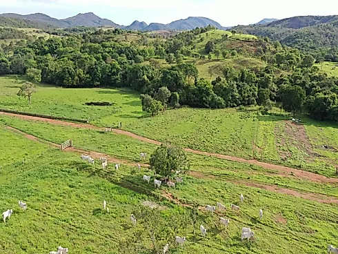 Fazenda de Dupla Aptidão em Padre Bernardo - GO - Sítio em Centro, Padre Bernardo - Foto 5