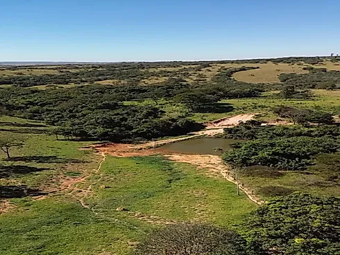 Chácara Produtiva de Alto Padrão – Alexânia/GO | Pronta para Lazer e Pecuária Leiteira - Chácara em Área Rural, Corumbá de Goiás - Foto 4
