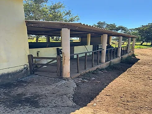 Chácara Produtiva de Alto Padrão – Alexânia/GO | Pronta para Lazer e Pecuária Leiteira - Chácara em Área Rural, Corumbá de Goiás - Foto 5