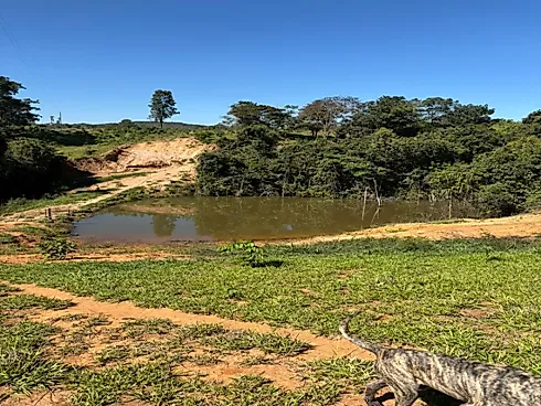 Chácara Produtiva de Alto Padrão – Alexânia/GO | Pronta para Lazer e Pecuária Leiteira - Chácara em Área Rural, Corumbá de Goiás - Foto 2