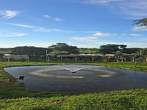 Seu Refúgio Particular de Lazer e Pesca a Apenas 85 km de Goiânia - Chácara em Área Rural de Piracanjuba, Piracanjuba - Foto 2