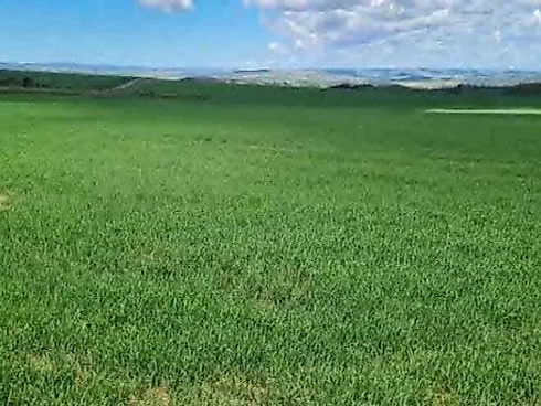 Fazenda 3.250 ha em São João da Aliança - Beira do Asfalto - Fazenda em Área Rural, São João D'aliança - Foto 4